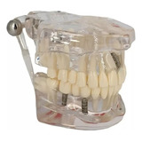 Dentista De