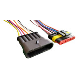 01 Conector Chicote 6