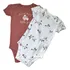 02 Macacões Body Carters Bebês Feminino Beija Flor E Mommys