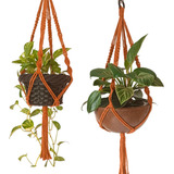 02 Suporte De Planta