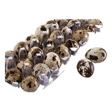 030 Ovos De Codorna