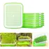 05 Bandejas Duplas Microverdes Germinação Broto Hidroponica
