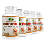 05 Colageno Tipo 2