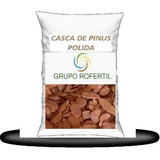 07kg Casca De Pinus