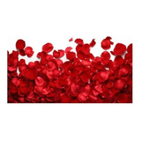 1 000 Pétalas De Rosas Artificiais Vermelha Casamento Noivas