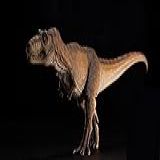 1:35 Tiranossauro Rex Alpha Dinossauros Animais Pré-históricos Coleção De Brinquedos Boneca Mandíbula Móvel (cor: Marrom)
