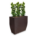 1 Jardineira Vaso Arranjo