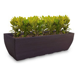 1 Jardineira Vaso Floreira