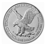 1 Onça De Prata Pura 999% Silver Eagle - Eua 2024!