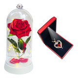 1 Rosa Eterna Preservada