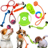 10 Brinquedos Pet Corda
