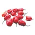 10 Carolina Reaper 10 Scorpion 10 Bhut    Frutos In Natura