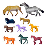 10 Cavalos Selvagens Reino