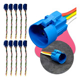 10 Chicote Conector Para