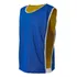 10 Coletes Dupla Face Futebol treino Azul X Amarelo