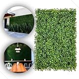 10 Placas Jardim Vertical