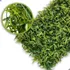10 Placas Samambaia Cheia 40x60 Jardim Vertical Artificial