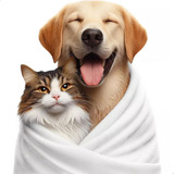 10 Toalha Banho Pet Enxuga Seca Gato Cachorro Macia Grande