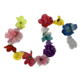 100 Flor Sepala Cabeca