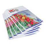 100 Folhas Papel Foto