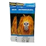 100 Folhas Papel Fotográfico Adesivo A4 130g à Prova D'água Masterprint