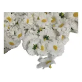 100 Margaridas Mini Flor