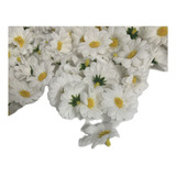 100 Margaridas Mini Flor