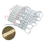 1000 Pcs Mini Modulo