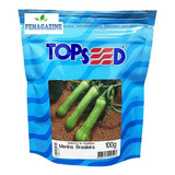 1000 Sementes De Abobrinha Menina Brasileira Topseed   100 G
