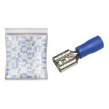 100x Terminal Femea 6