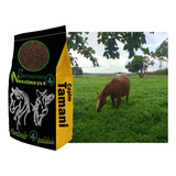 10kg Sementes De Capim