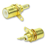 10x Jack Femea Rca