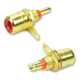10x Jack Femea Rca