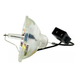 10x Lampada S case