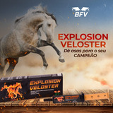12 Explosion Veloster