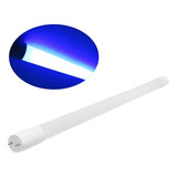 12 Lampadas T8 Tubular