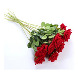 12 Rosas Colombianas Aveludadas
