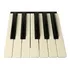 12 Teclas Korg Pa600 Pa500 Pa300 Pa700 Oitava Nova Original