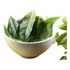 1500 Superfolhas Nutritiva Medicinal Ora pro nóbis Orgânica