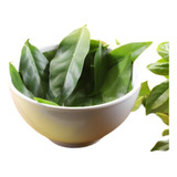 1500 Superfolhas Nutritiva Medicinal