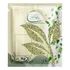 1kg Lentilha Verde   Elevenbox