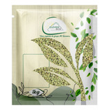 1kg Lentilha Verde   Elevenbox