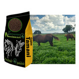1kg Sementes De Capim