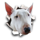 2 Adesivos De Animal