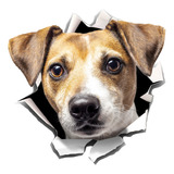 2 Adesivos De Animal