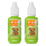 2 Adestrador Canino Xixi