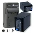 2 Baterias Fv100 + Carregador Para Sony Hdr-xr160e