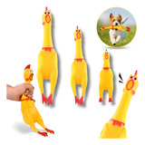 2 Brinquedos Frango Borracha