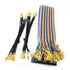 2 Cabos Gpio Raspberry  2 Unidades 
