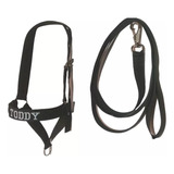 2 Cabresto P Cavalos